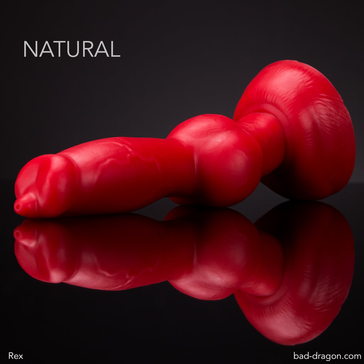 Rex the German Shepherd